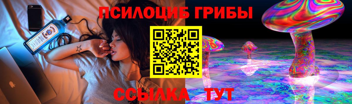 Псилоцибиновые грибы Cubensis Тихвин
