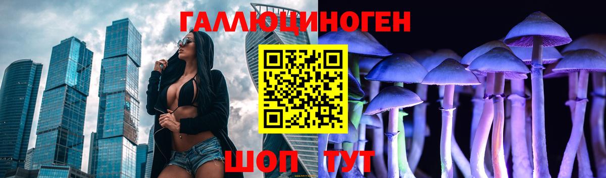 Тихвин  где продают   Вход с VPN  Галлюциногенные грибы Psilocybine cubensis 